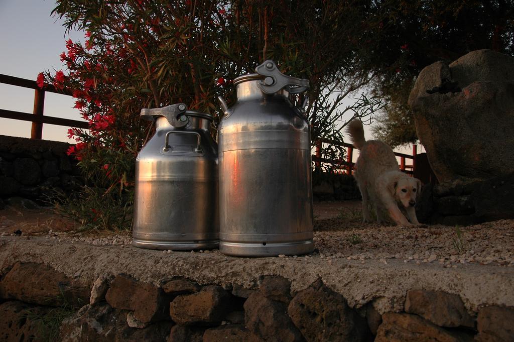 Agriturismo Codula Fuili Cala Gonone Eksteriør billede