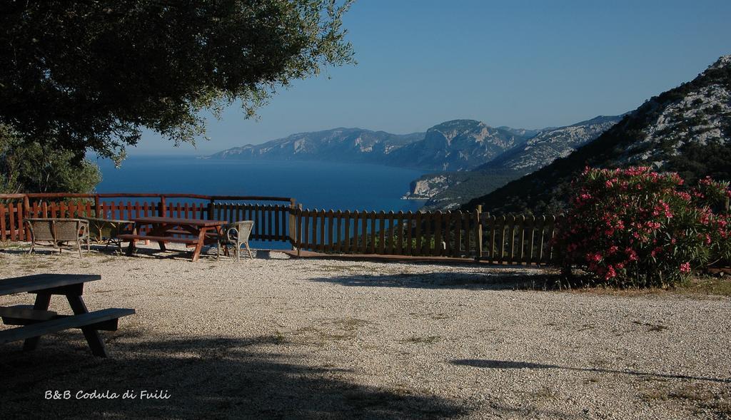 Agriturismo Codula Fuili Cala Gonone Værelse billede