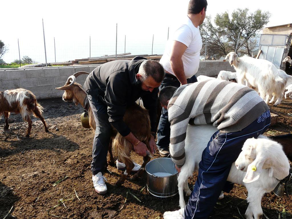 Agriturismo Codula Fuili Cala Gonone Eksteriør billede