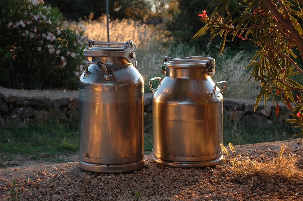 Agriturismo Codula Fuili Cala Gonone Eksteriør billede