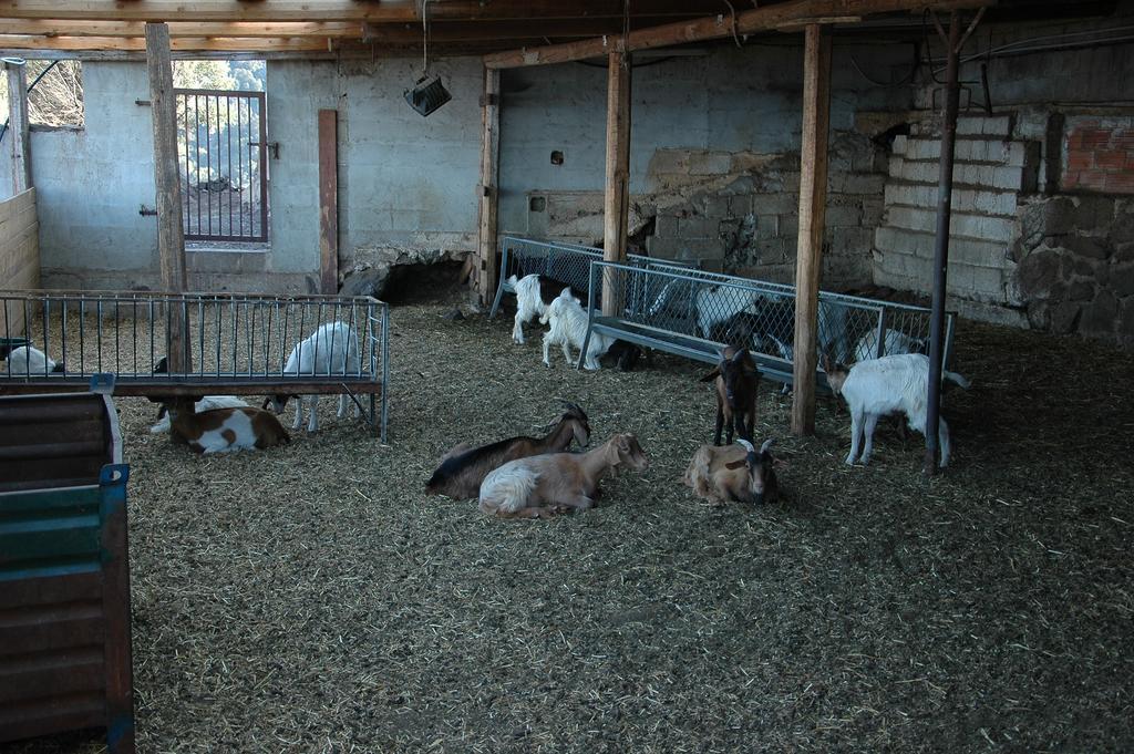 Agriturismo Codula Fuili Cala Gonone Eksteriør billede