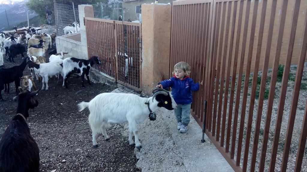 Agriturismo Codula Fuili Cala Gonone Eksteriør billede