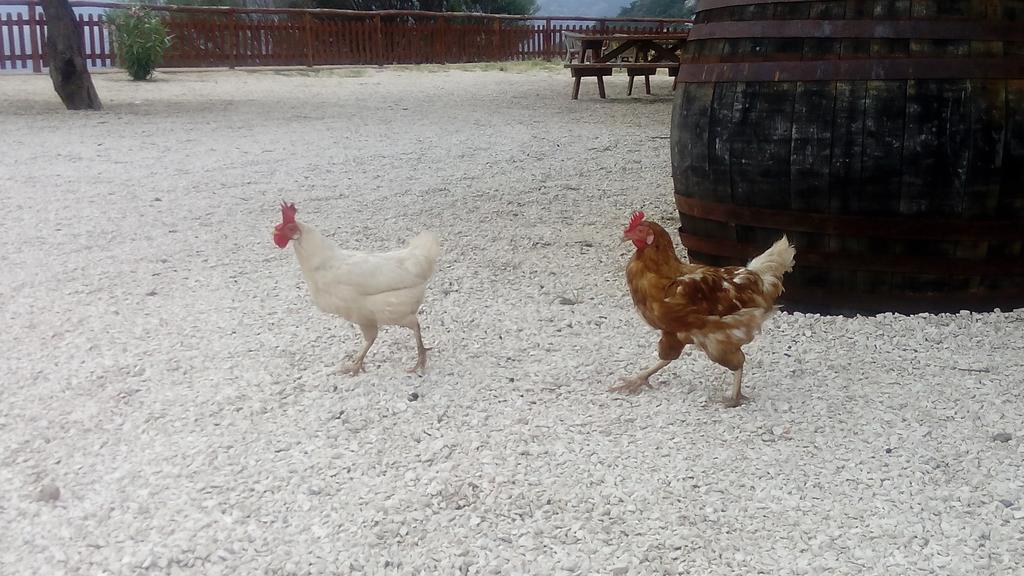 Agriturismo Codula Fuili Cala Gonone Eksteriør billede